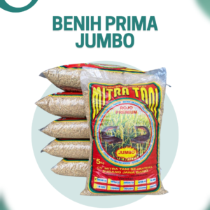 Benih Prima Jumbo