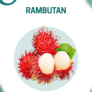 Rambutan