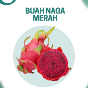 Buah Naga Merah